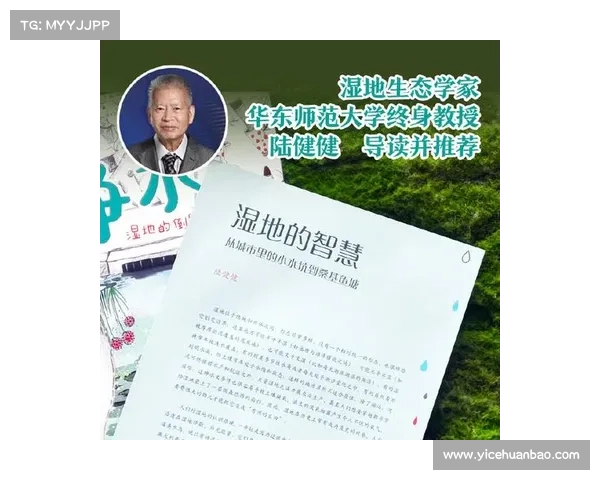 布克领导风格的独特魅力与其团队文化氛围塑造的深远影响分析