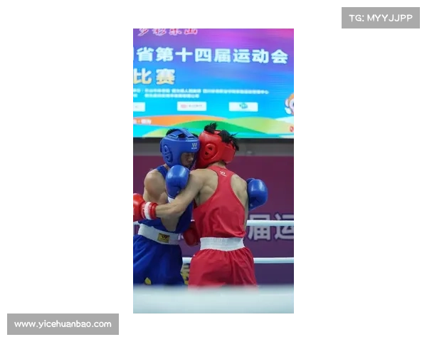 拳击比赛精彩瞬间全面解析：节目内容、赛制规则与赛事亮点深度剖析